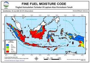 282 Hotspot Terpantau di Jambi, Ini Sebarannya per Kabupaten