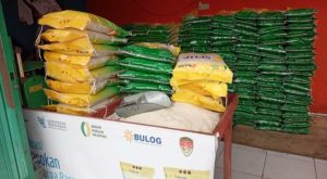 Bulog Jambi Pastikan Penyaluran Beras SPHP Diawasi Ketat, Stok Aman hingga Akhir Tahun