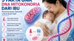 Keistimewaan DNA Mitokondria: Warisan Ibu yang Tak Dimiliki Ayah