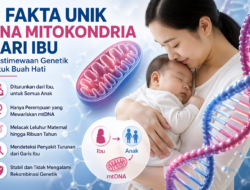 Keistimewaan DNA Mitokondria: Warisan Ibu yang Tak Dimiliki Ayah
