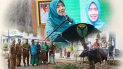 Hj. Hesnidar Haris Serahkan Hewan Kurban untuk Masyarakat Batang Hari dan Muaro Jambi