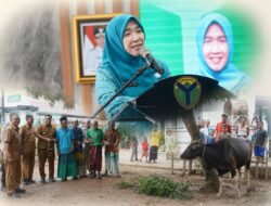 Hj. Hesnidar Haris Serahkan Hewan Kurban untuk Masyarakat Batang Hari dan Muaro Jambi