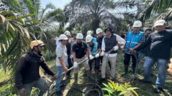 Konduktor Putus Didalami, Bareskrim Selidiki Penyebab Mati Lampu Massal di Sumatera