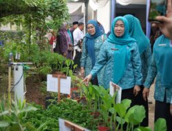Hesti Haris Kunjungi Rumah Dilan Bumi Talenta di Desa Pauh Pamenang