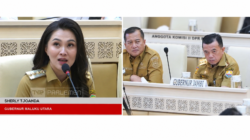 Sherly Tjoanda Dan Al Haris Suarakan Nasib PPPK di DPR, Daerah Minta Relaksasi Belanja Pegawai dan Solusi Fiskal