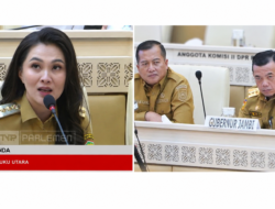 Sherly Tjoanda Dan Al Haris Suarakan Nasib PPPK di DPR, Daerah Minta Relaksasi Belanja Pegawai dan Solusi Fiskal
