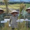 Gubernur Al Haris Hadiri Panen Raya TNI di Desa Kota Baru Geragai, Dukung Ketahanan Pangan