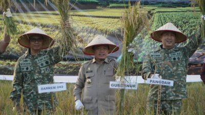 Gubernur Al Haris Hadiri Panen Raya TNI di Desa Kota Baru Geragai, Dukung Ketahanan Pangan