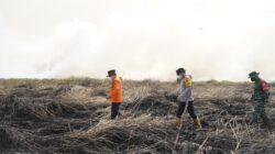 Karhutla Jambi Meluas ke TN Berbak dan Sembilang, 13,2 Hektare Lahan Terbakar
