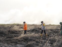 Karhutla Jambi Meluas ke TN Berbak dan Sembilang, 13,2 Hektare Lahan Terbakar