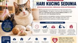 Hari Kucing Sedunia 2026 Diperingati 8 Agustus, Ini Sejarah dan Fakta Menarik di Baliknya