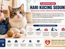 Hari Kucing Sedunia 2026 Diperingati 8 Agustus, Ini Sejarah dan Fakta Menarik di Baliknya