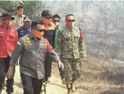 Gubernur Al Haris Pantau Karhutla Tahura di Batang Hari, Dua Waterbombing Disiapkan