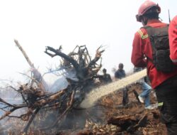 Wagub Sani Dampingi Wamen LH Tinjau Penanganan Karhutla di Desa Parit Culum Tanjab Timur