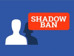Apa Itu Shadowban? Konten Kritik Karhutla Sepi Penonton, Ini Penjelasannya