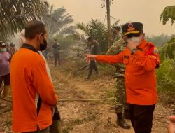Al Haris dan Danrem Turun Langsung ke Lokasi Karhutla di Kumpeh, Angin Kencang dan Sulitnya Air Jadi Kendala