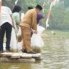 Gubernur Al Haris Tebar 25 Ribu Benih Ikan Nilem di Lubuk Larangan Danau Sibuk, Bungo