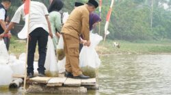 Gubernur Al Haris Tebar 25 Ribu Benih Ikan Nilem di Lubuk Larangan Danau Sibuk, Bungo