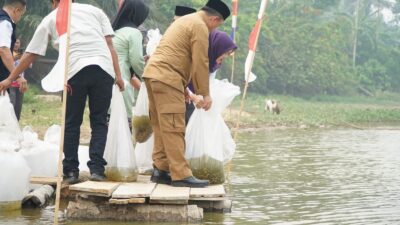 Gubernur Al Haris Tebar 25 Ribu Benih Ikan Nilem di Lubuk Larangan Danau Sibuk, Bungo